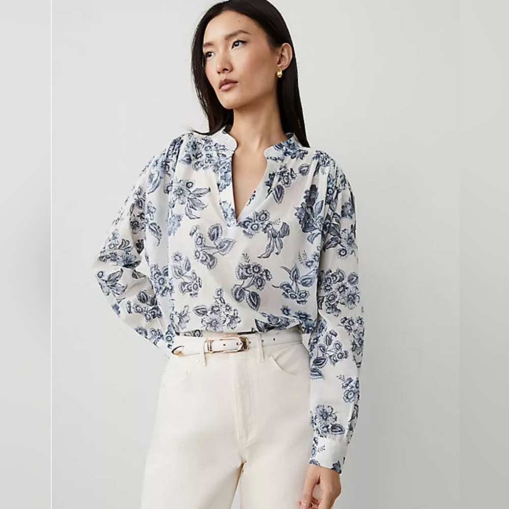Ann Taylor toile blousen popover NWT, Size large.
